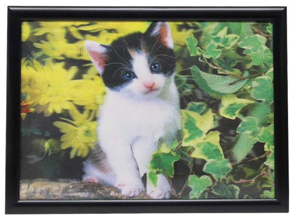 3D Effekt Bilder Wandbild Effektbild Bild Wandbilder mit Rahmen Katze 402