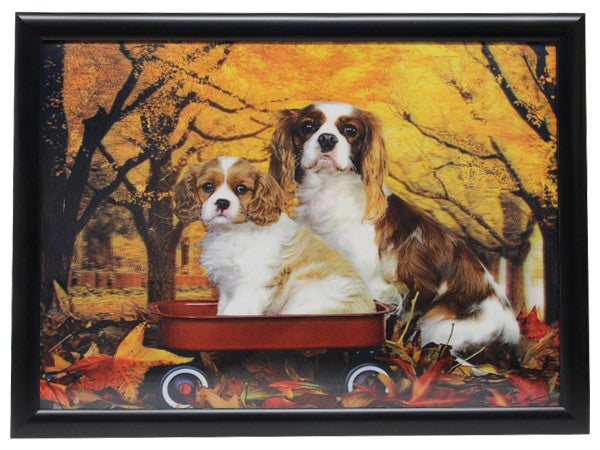 3D Effekt Bilder Wandbild Effektbild Bild Wandbilder mit Rahmen Hunde 408